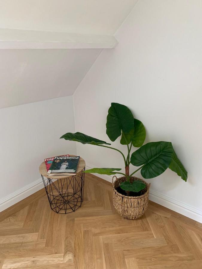 Scheldewegel Vakantiehuis Schelderode 외부 사진